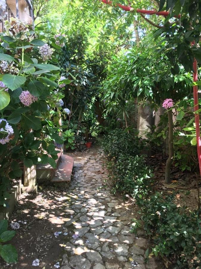 B&B Le Casette Sant'Onofrio  Exterior photo